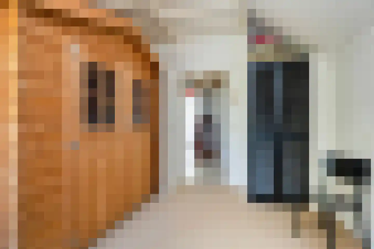 Berkenlaan 13 Bilthoven thumbnail 37