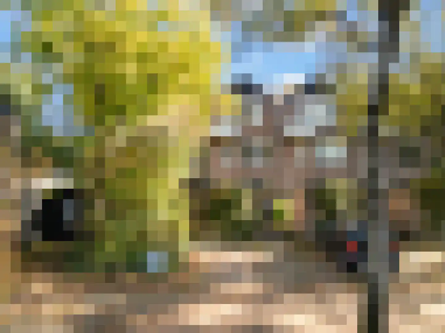 Berkenlaan 13 Bilthoven thumbnail 40