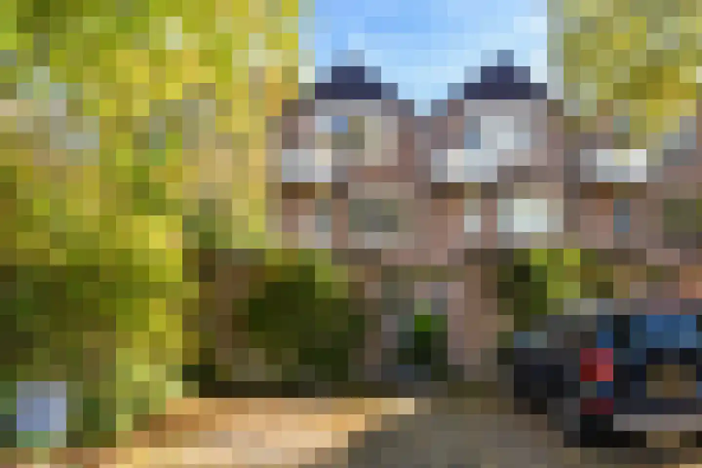 Berkenlaan 13 Bilthoven thumbnail 41
