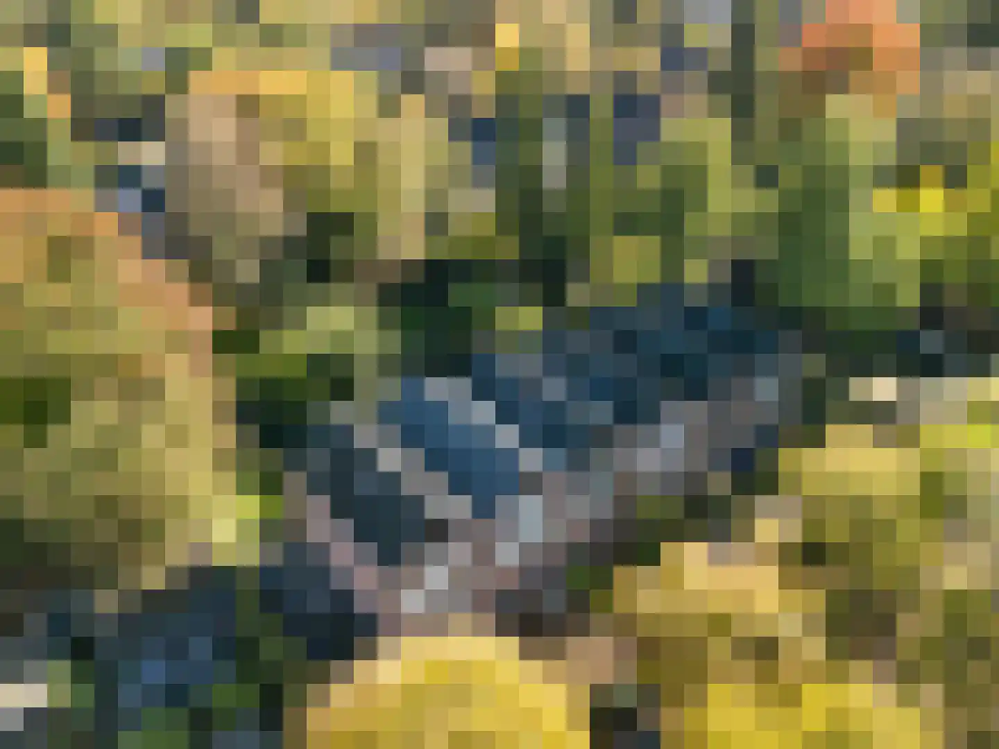 Berkenlaan 13 Bilthoven thumbnail 42