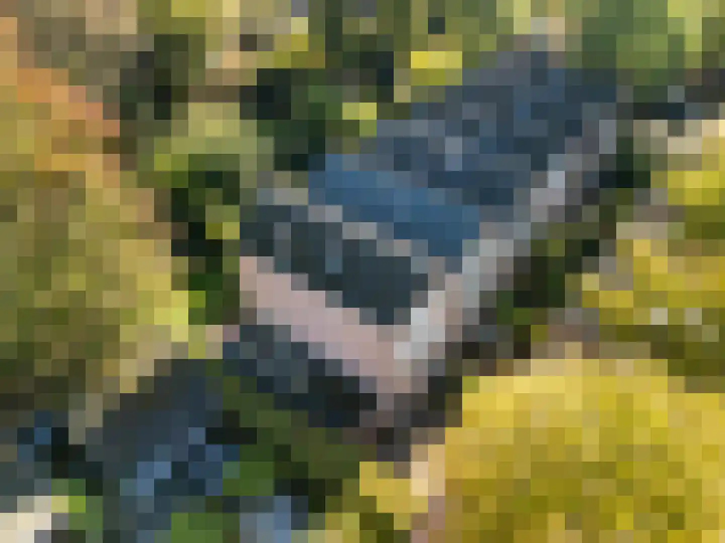 Berkenlaan 13 Bilthoven thumbnail 43