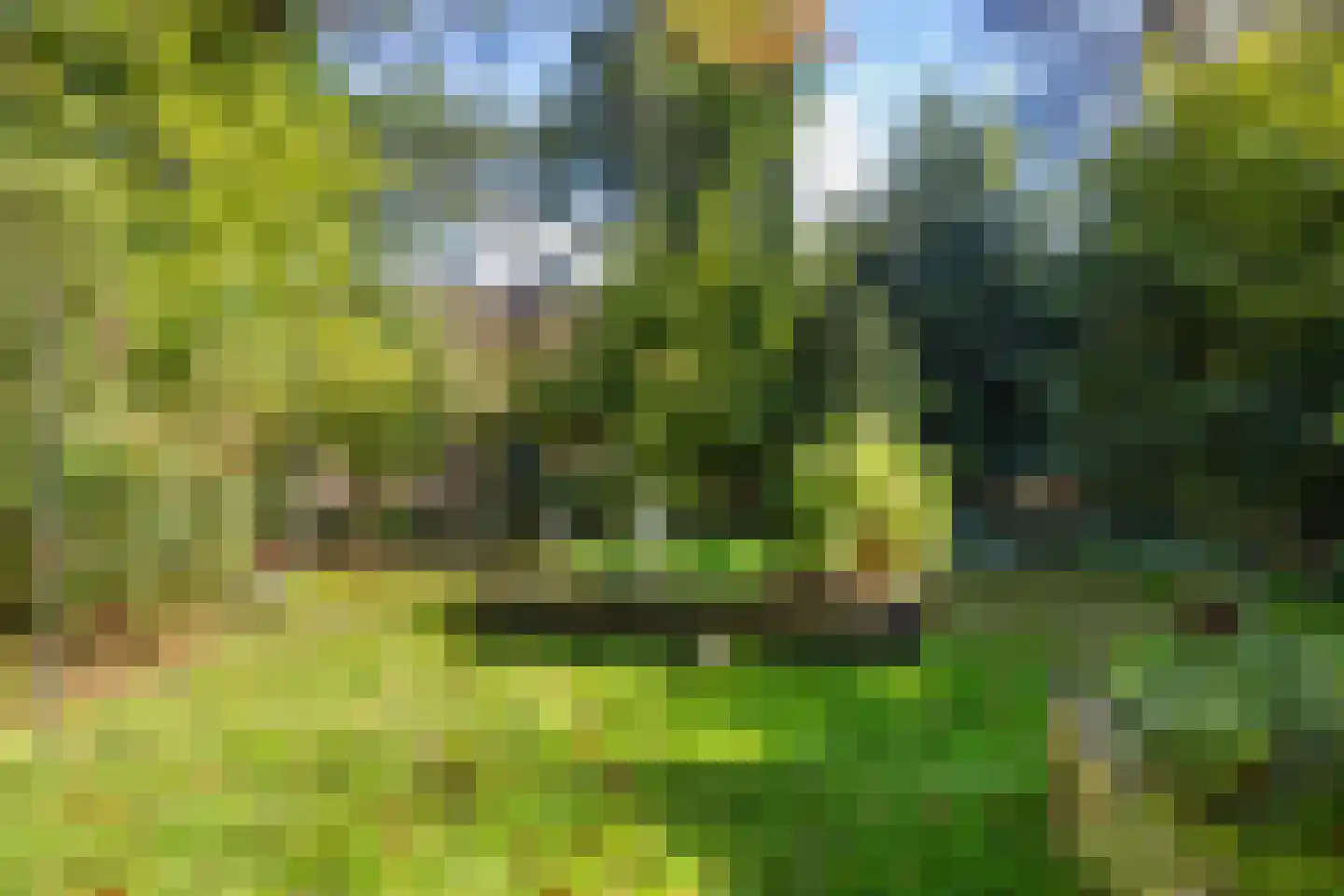 Berkenlaan 13 Bilthoven thumbnail 5