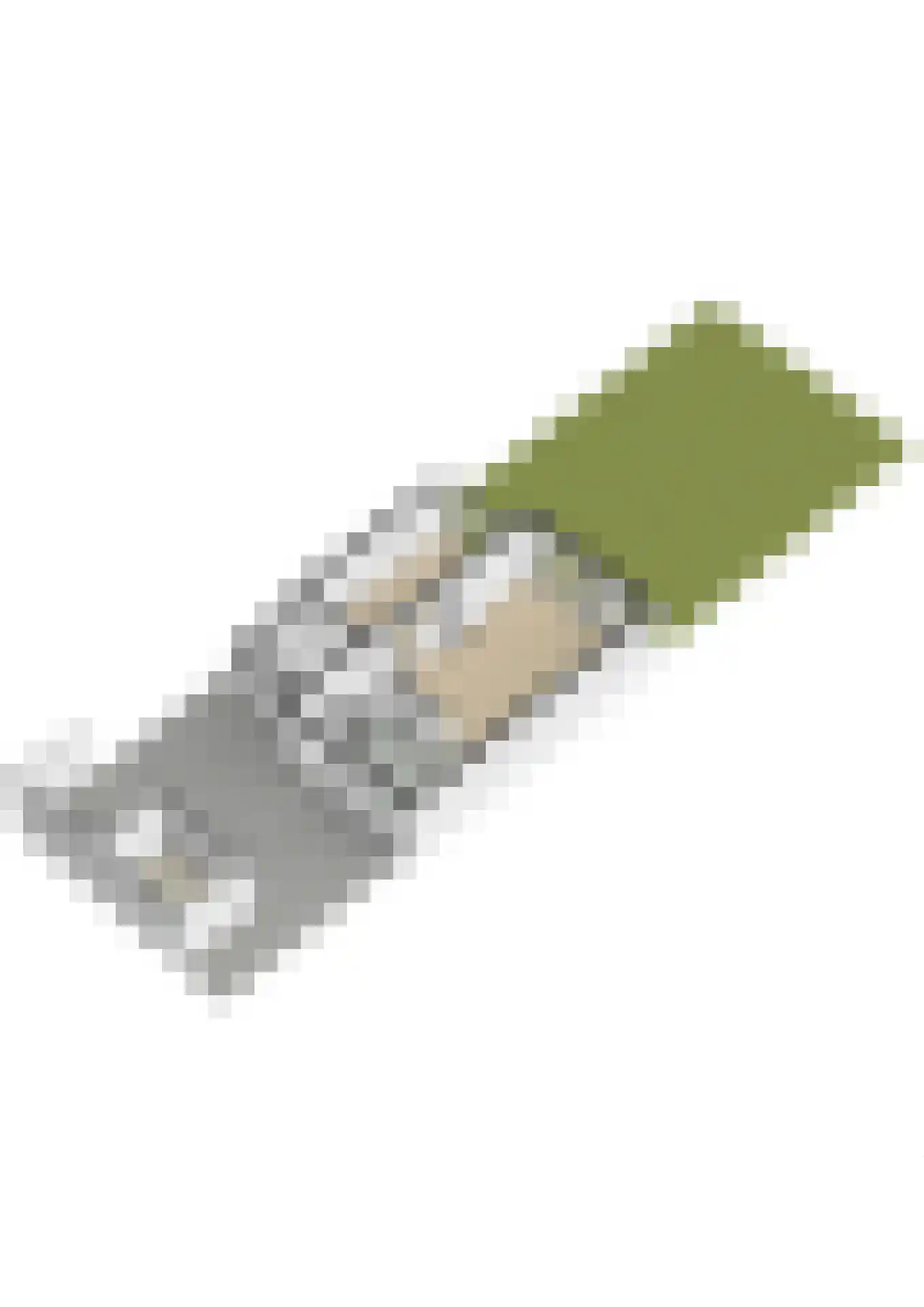 Berkenlaan 13 Bilthoven thumbnail 54