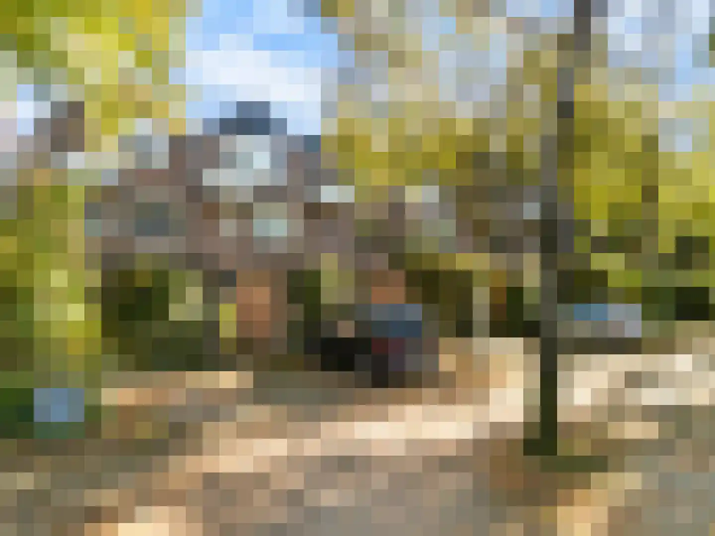 Berkenlaan 13 Bilthoven thumbnail 6