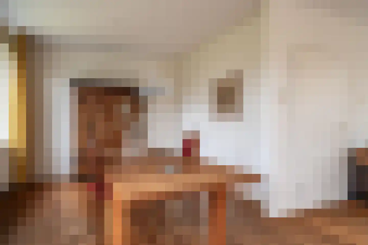 Berkenlaan 13 Emmeloord thumbnail 13