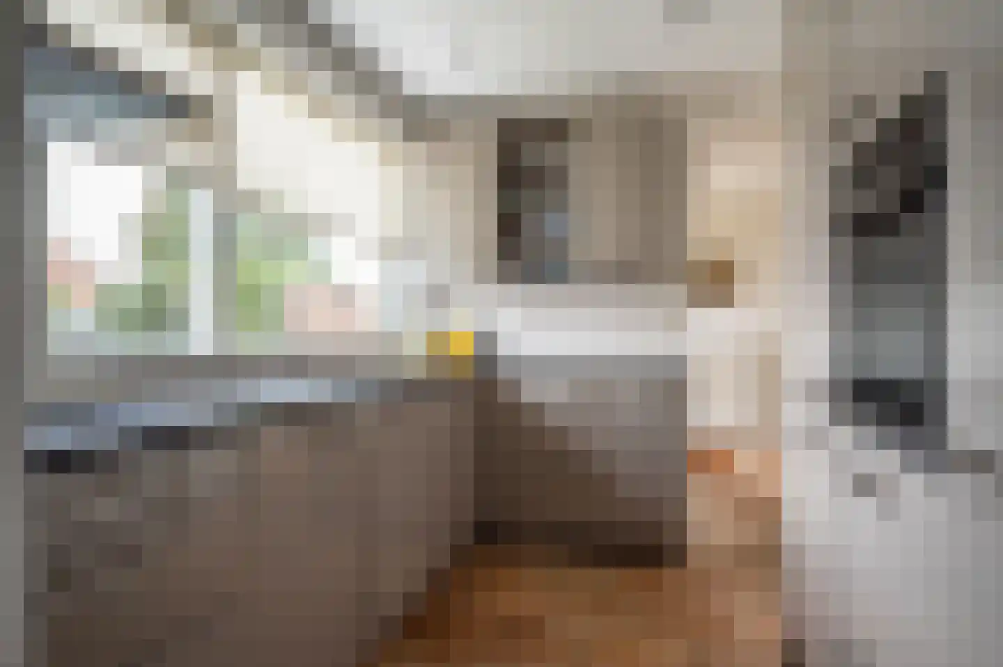 Berkenlaan 13 Emmeloord thumbnail 20