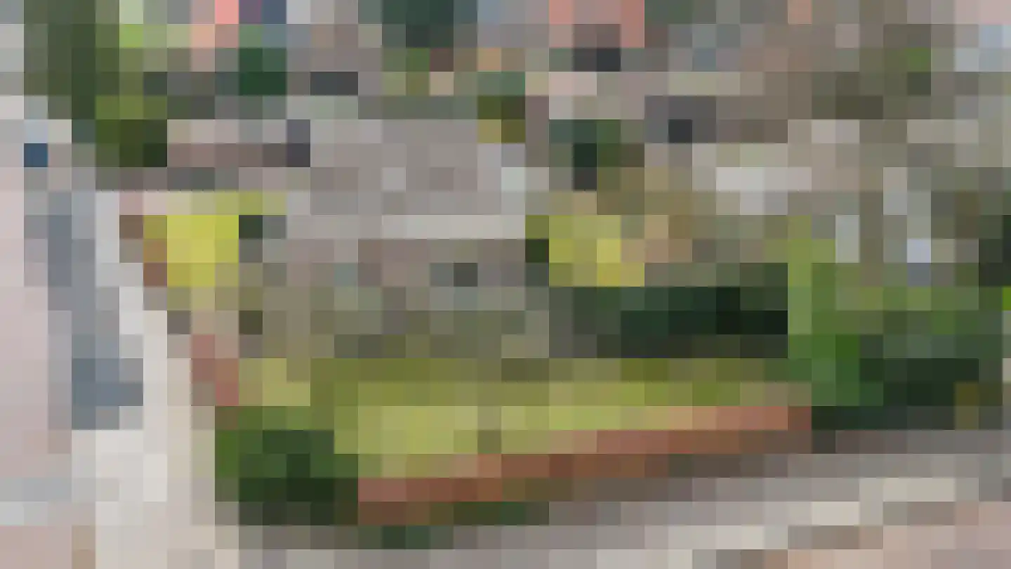 Berkenlaan 13 Emmeloord thumbnail 32
