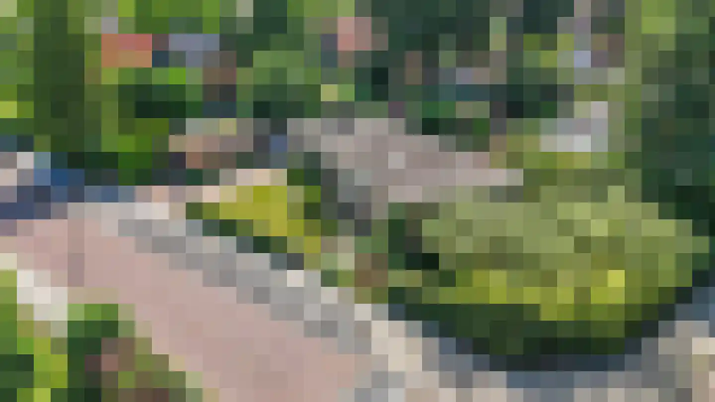 Berkenlaan 13 Emmeloord thumbnail 33