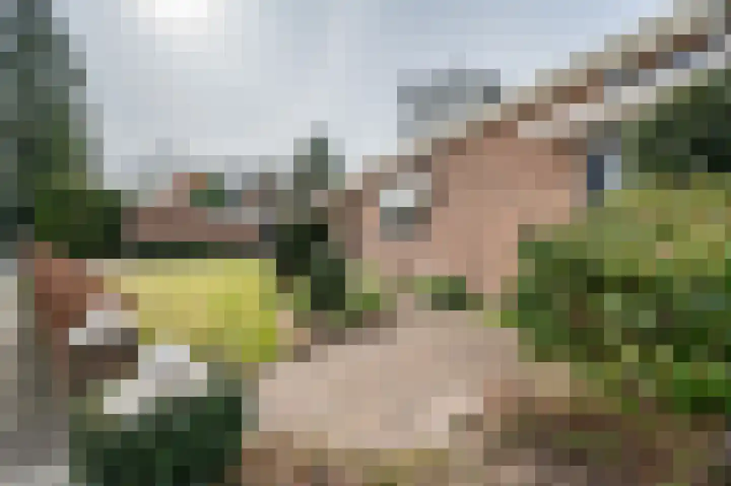 Berkenlaan 13 Emmeloord thumbnail 33