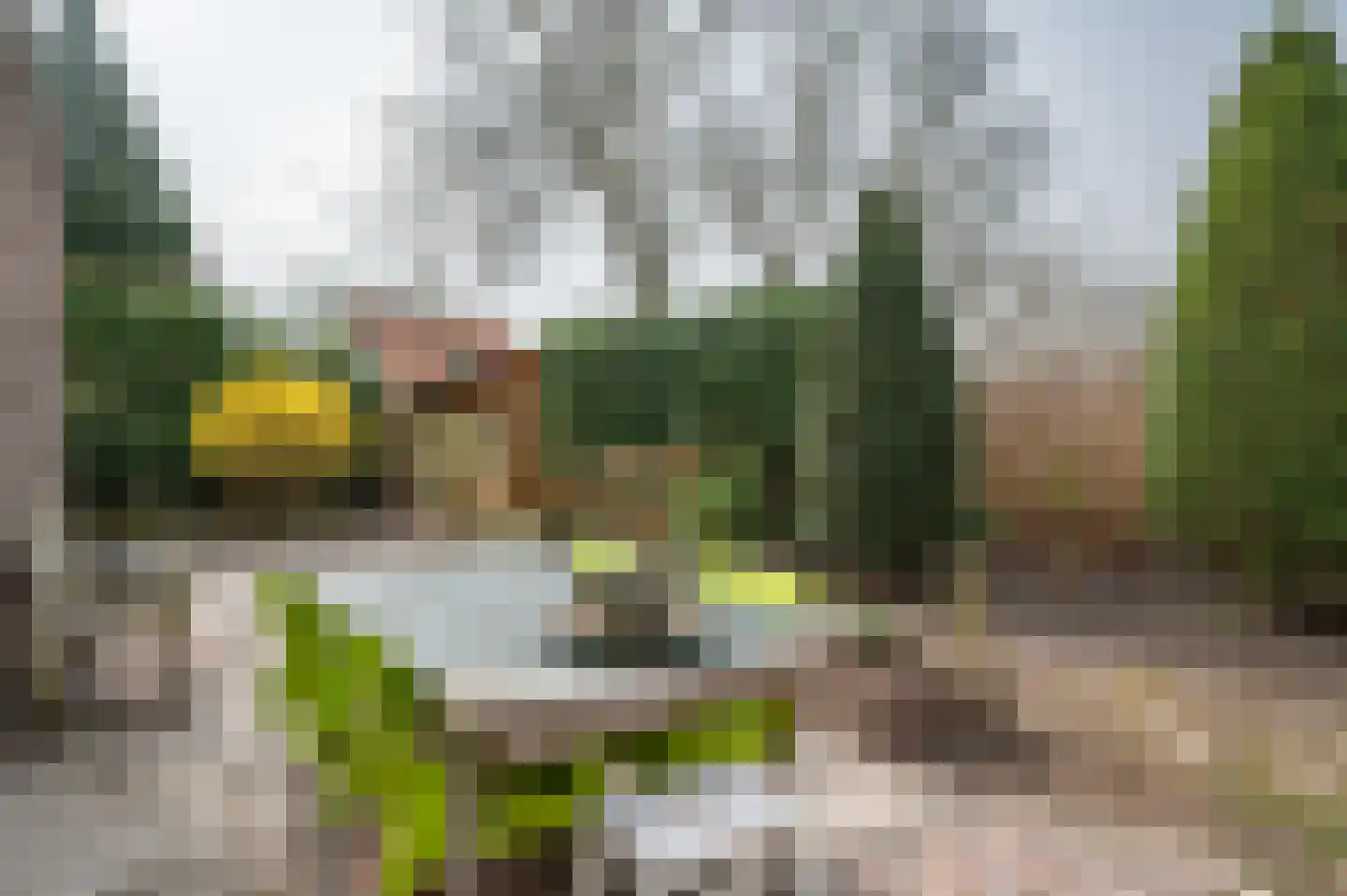 Berkenlaan 13 Emmeloord thumbnail 35