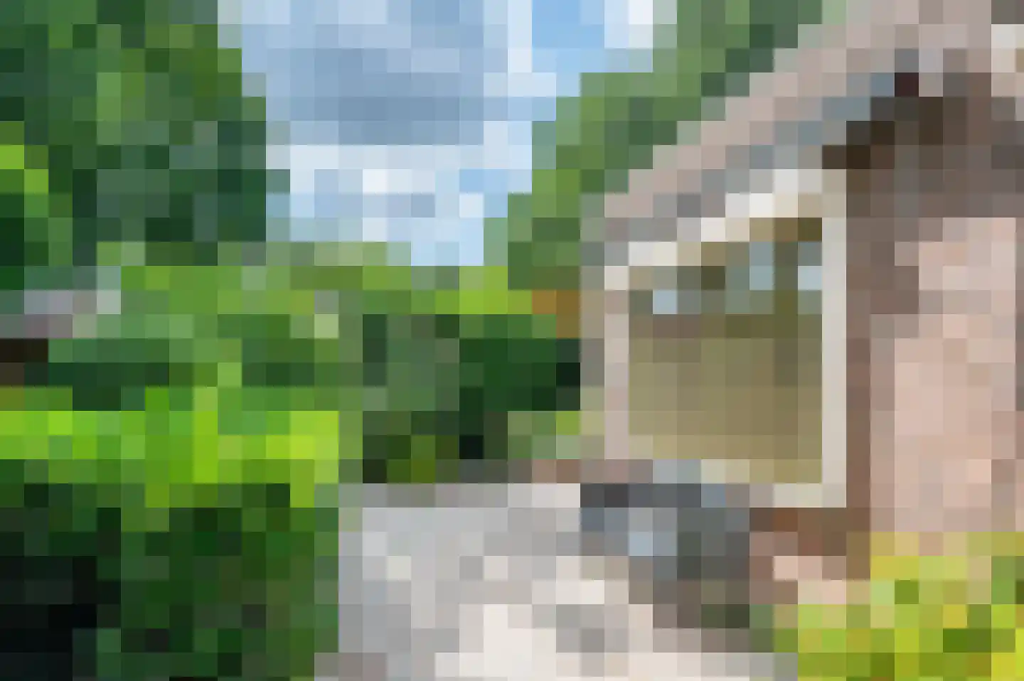 Berkenlaan 13 Emmeloord thumbnail 38