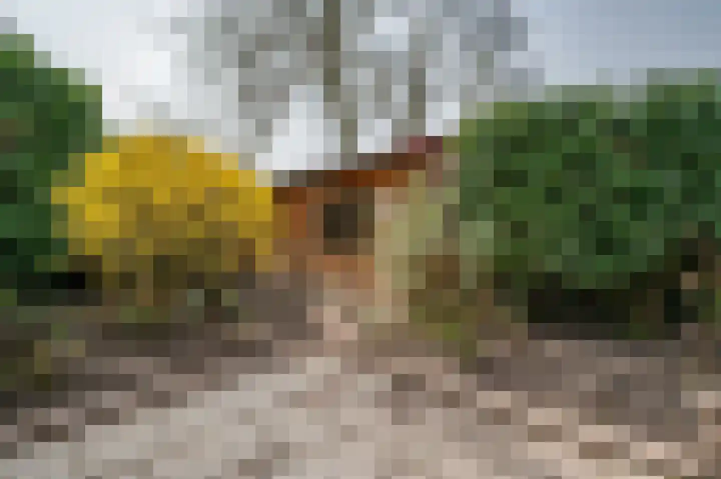 Berkenlaan 13 Emmeloord thumbnail 39