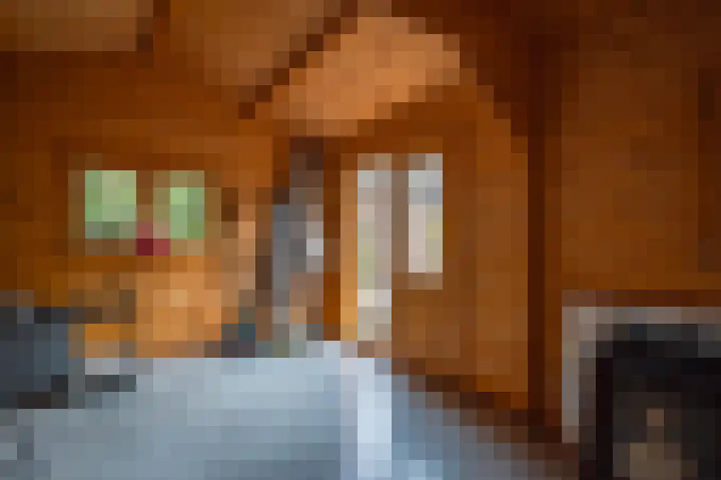 Berkenlaan 13 Emmeloord thumbnail 40