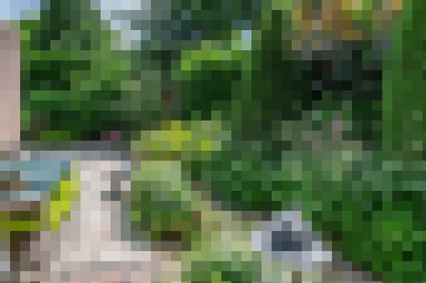 Berkenlaan 13 Emmeloord thumbnail 43