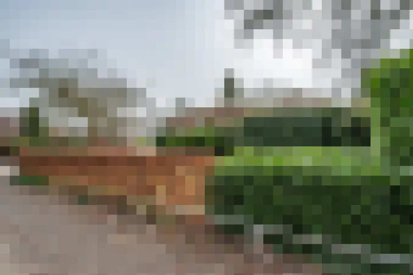 Berkenlaan 13 Emmeloord thumbnail 43