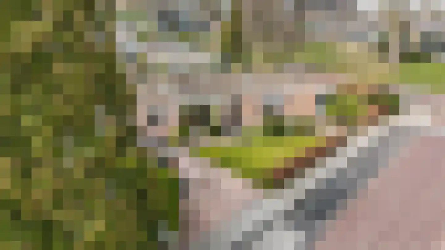 Berkenlaan 13 Emmeloord thumbnail 44
