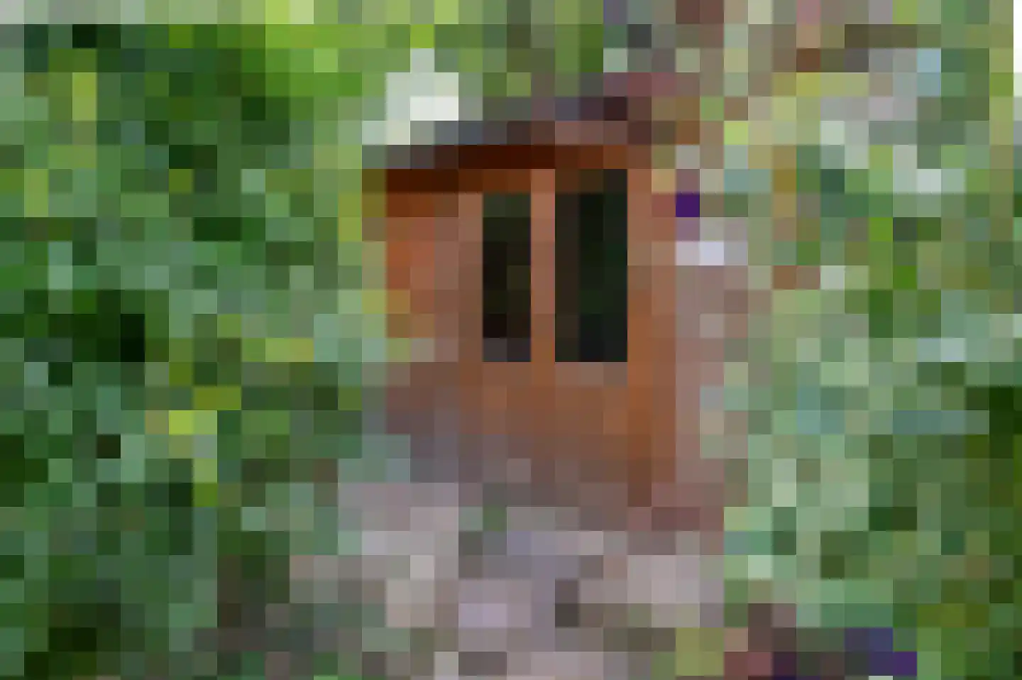 Berkenlaan 13 Emmeloord thumbnail 44