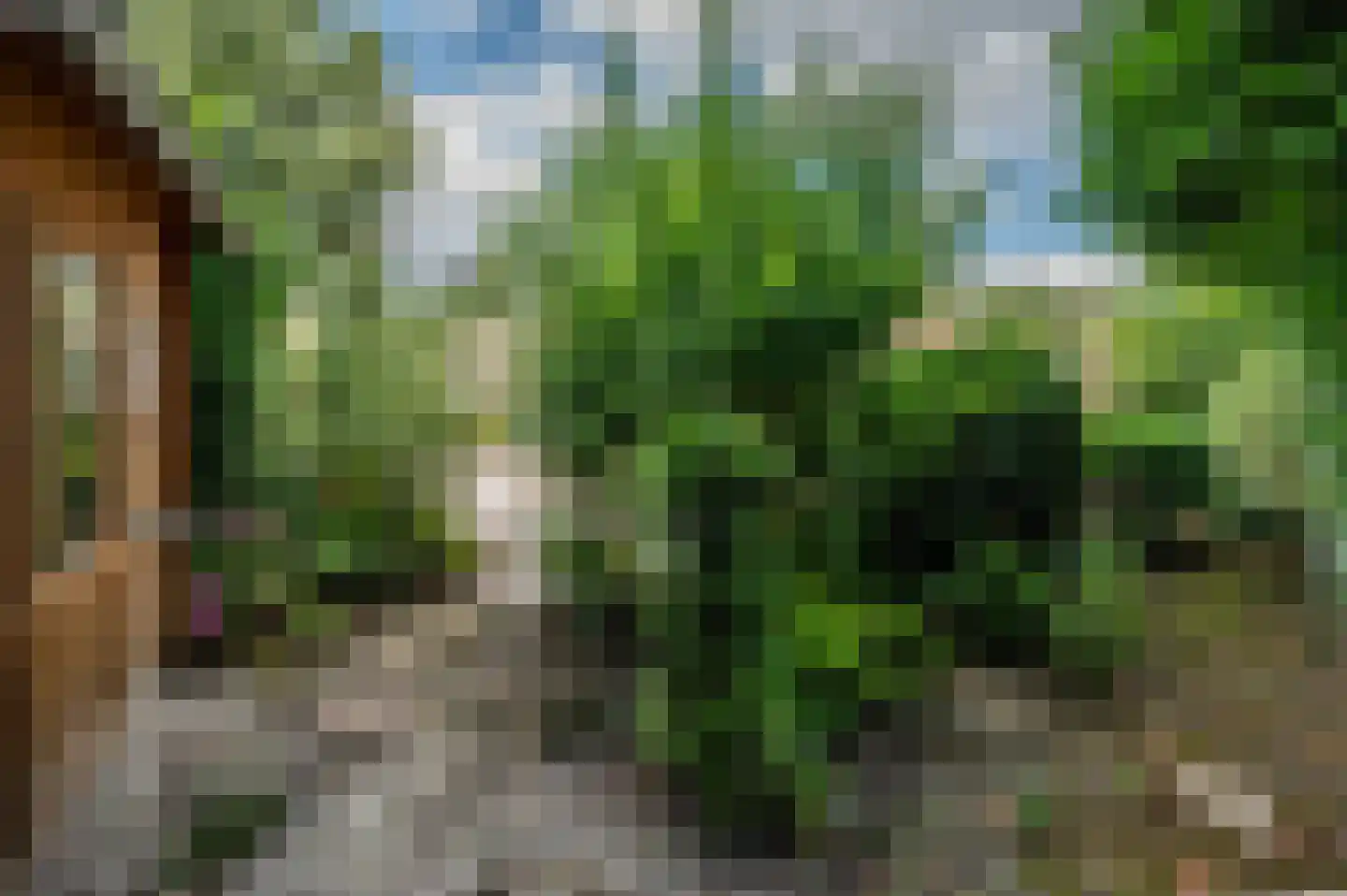 Berkenlaan 13 Emmeloord thumbnail 47