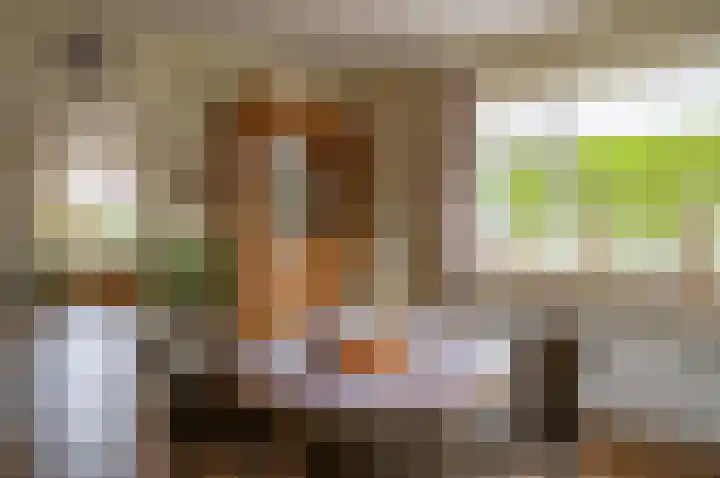 Berkenlaan 13 Hengelo (Gld) thumbnail 14