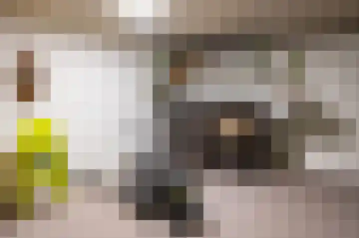 Berkenlaan 13 Hengelo (Gld) thumbnail 19