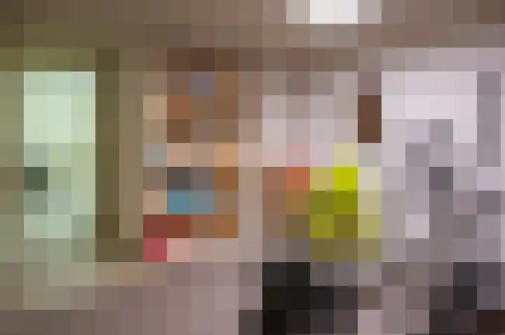 Berkenlaan 13 Hengelo (Gld) thumbnail 20