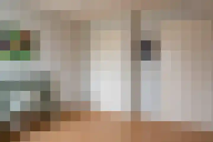 Berkenlaan 13 Hengelo (Gld) thumbnail 30