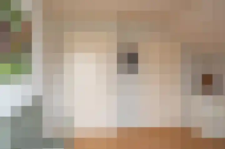 Berkenlaan 13 Hengelo (Gld) thumbnail 31