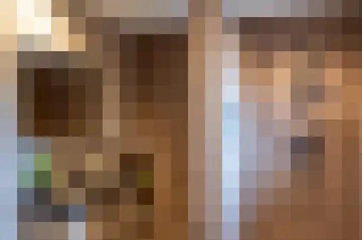 Berkenlaan 13 Hengelo (Gld) thumbnail 32