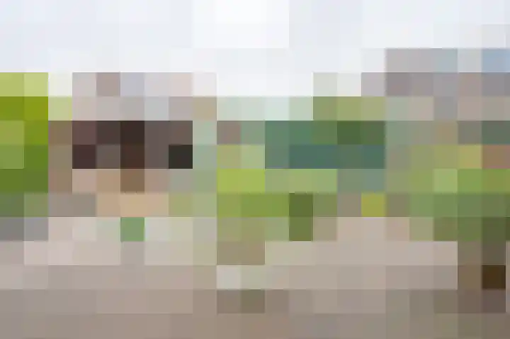 Berkenlaan 13 Hengelo (Gld) thumbnail 39