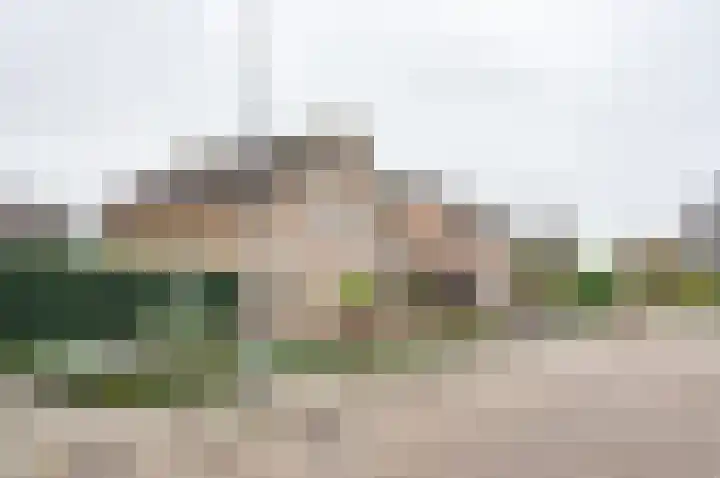 Berkenlaan 13 Hengelo (Gld) thumbnail 4