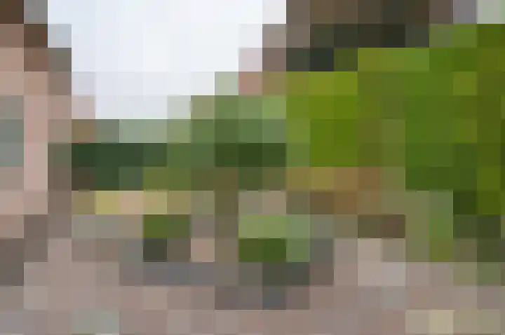 Berkenlaan 13 Hengelo (Gld) thumbnail 40