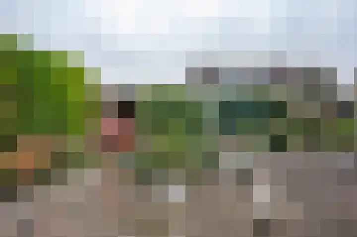 Berkenlaan 13 Hengelo (Gld) thumbnail 41