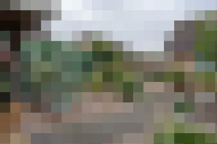 Berkenlaan 13 Hengelo (Gld) thumbnail 42