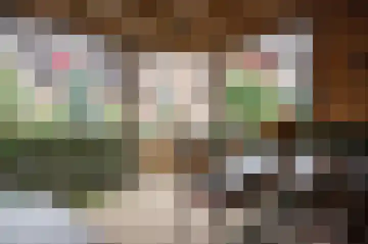 Berkenlaan 13 Hengelo (Gld) thumbnail 45