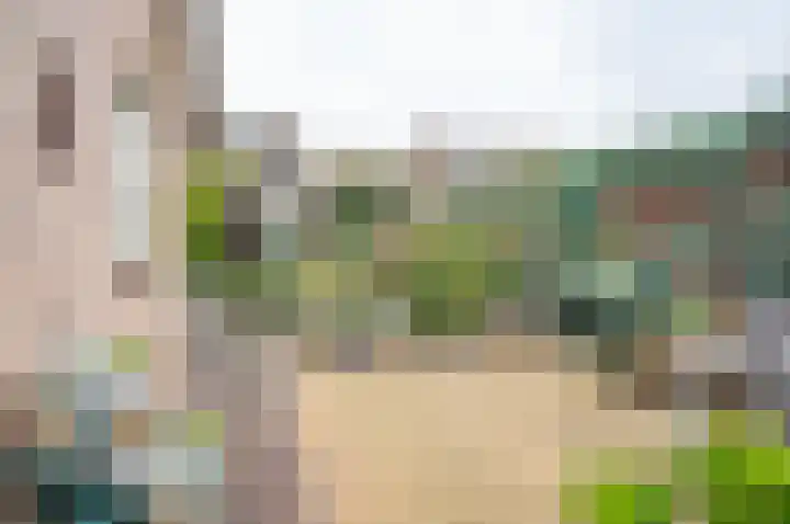 Berkenlaan 13 Hengelo (Gld) thumbnail 47