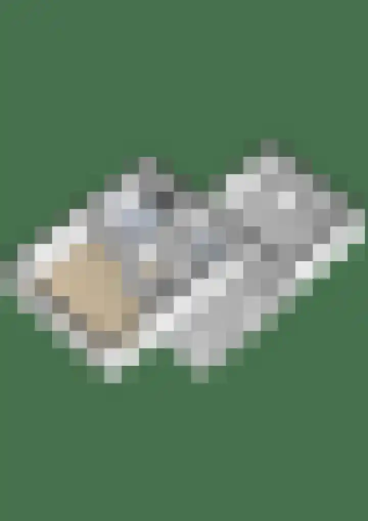 Berkenlaan 13 Hengelo (Gld) thumbnail 49