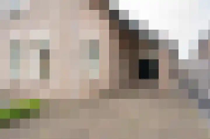 Berkenlaan 13 Hengelo (Gld) thumbnail 7