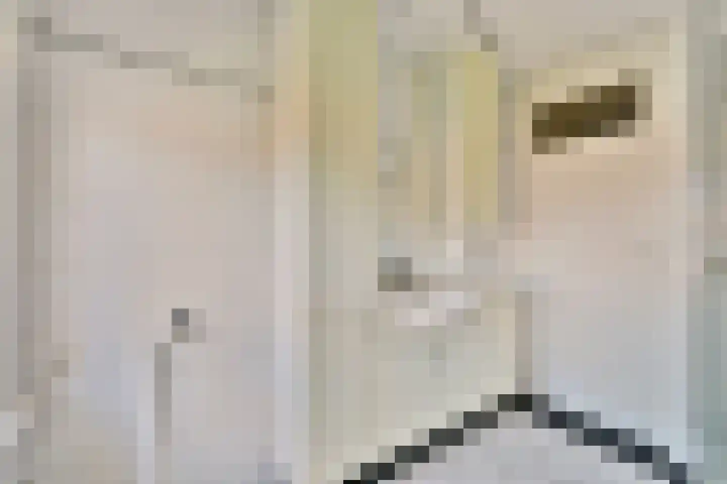 Berkenlaan 13 Sassenheim thumbnail 14