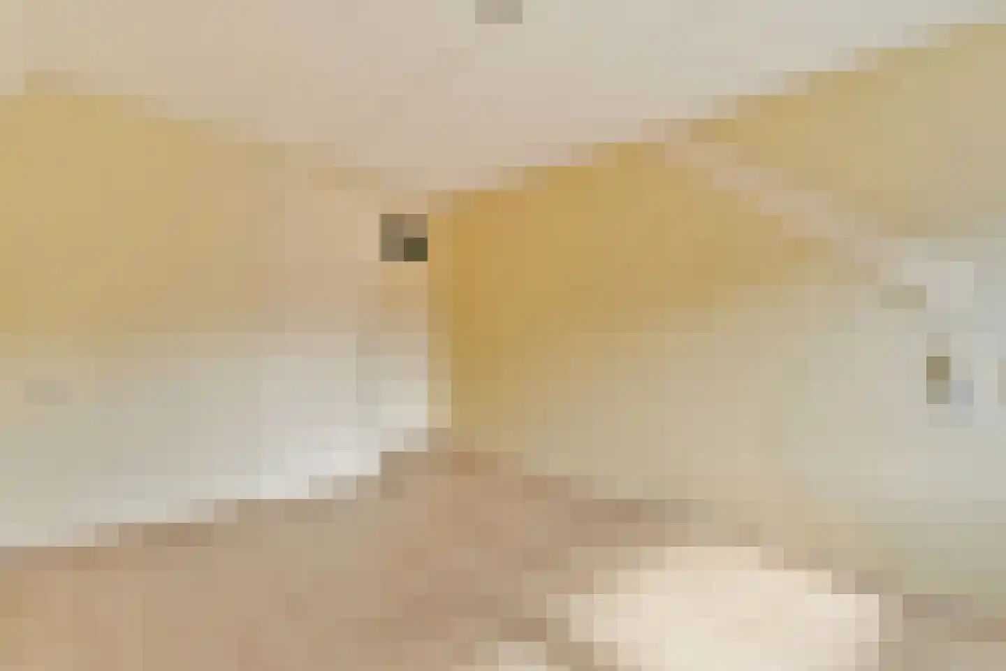 Berkenlaan 13 Sassenheim thumbnail 18