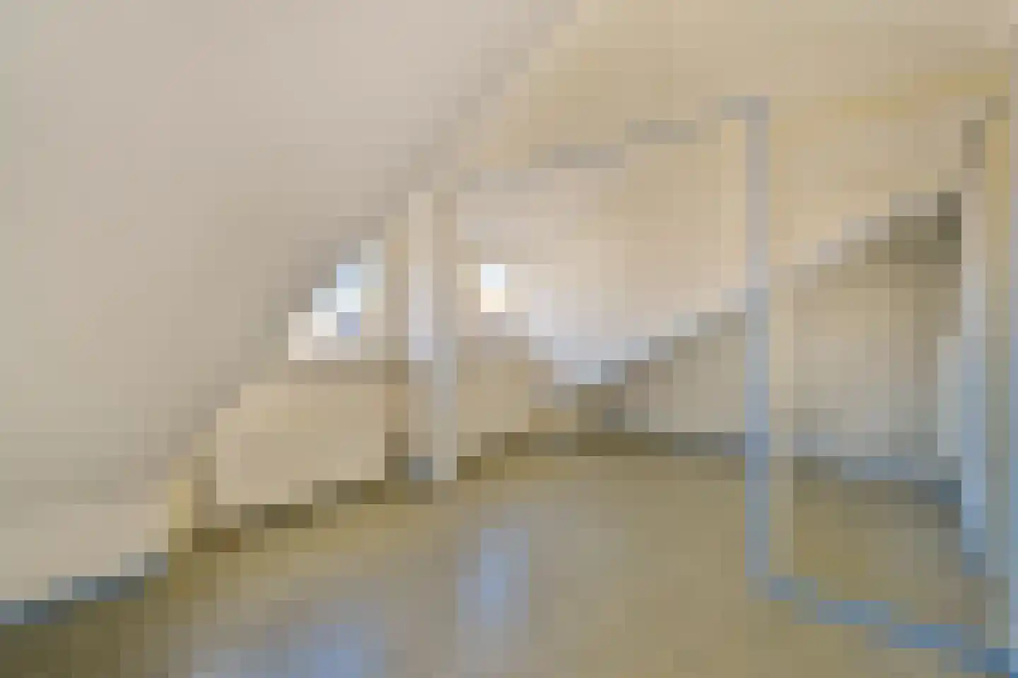 Berkenlaan 13 Sassenheim thumbnail 22
