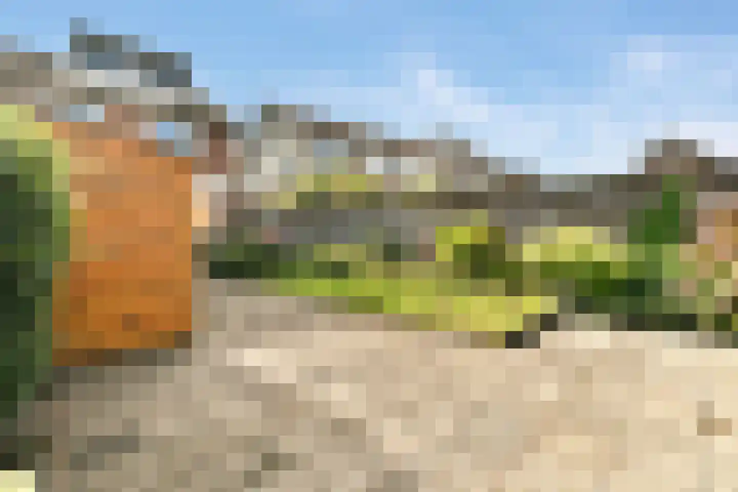 Berkenlaan 13 Sassenheim thumbnail 25