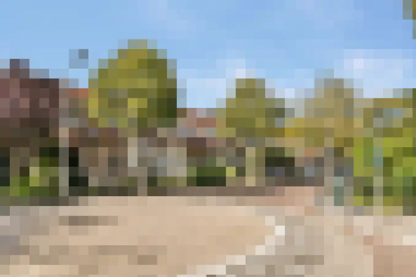 Berkenlaan 13 Sassenheim thumbnail 29
