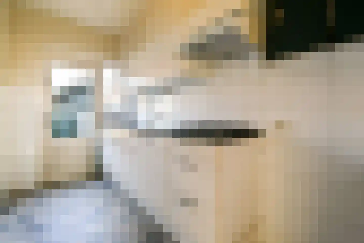 Berkenlaan 13 Sassenheim thumbnail 6