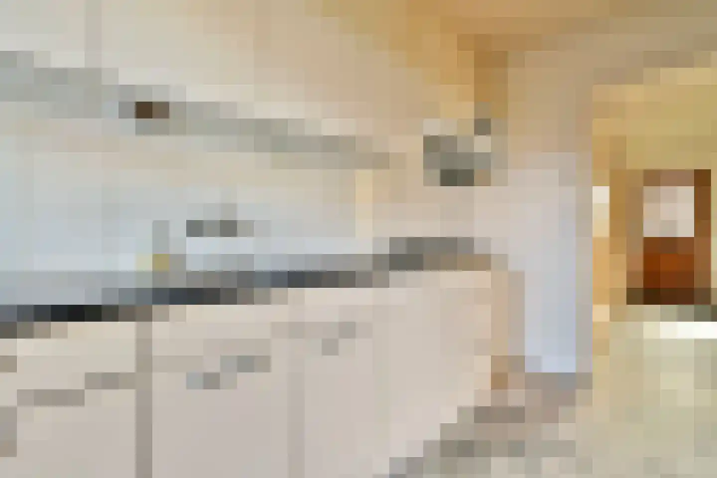 Berkenlaan 13 Sassenheim thumbnail 7