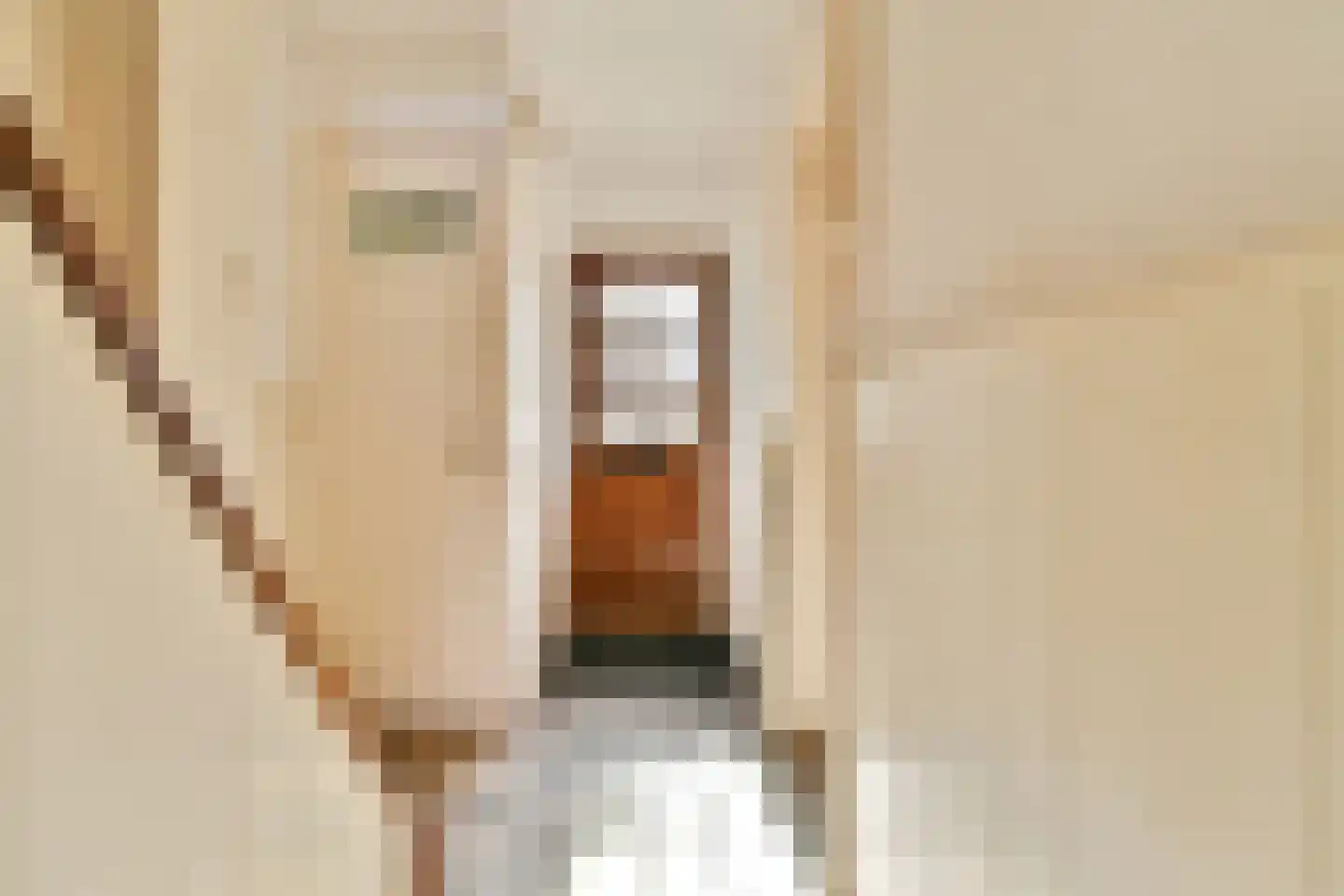 Berkenlaan 13 Sassenheim thumbnail 9
