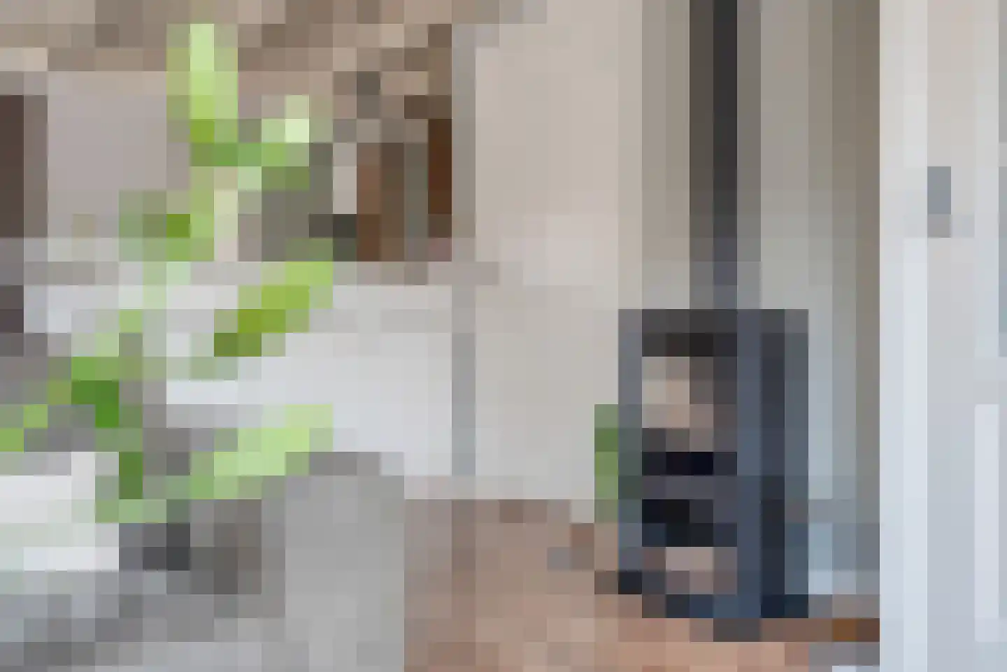 Berkenlaan 13 Zwartsluis thumbnail 14