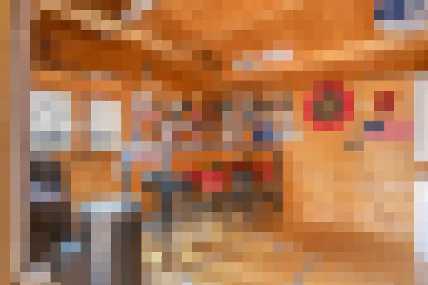 Berkenlaan 13 Zwartsluis thumbnail 31