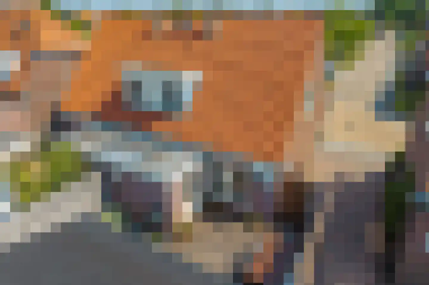 Berkenlaan 13 Zwartsluis thumbnail 33