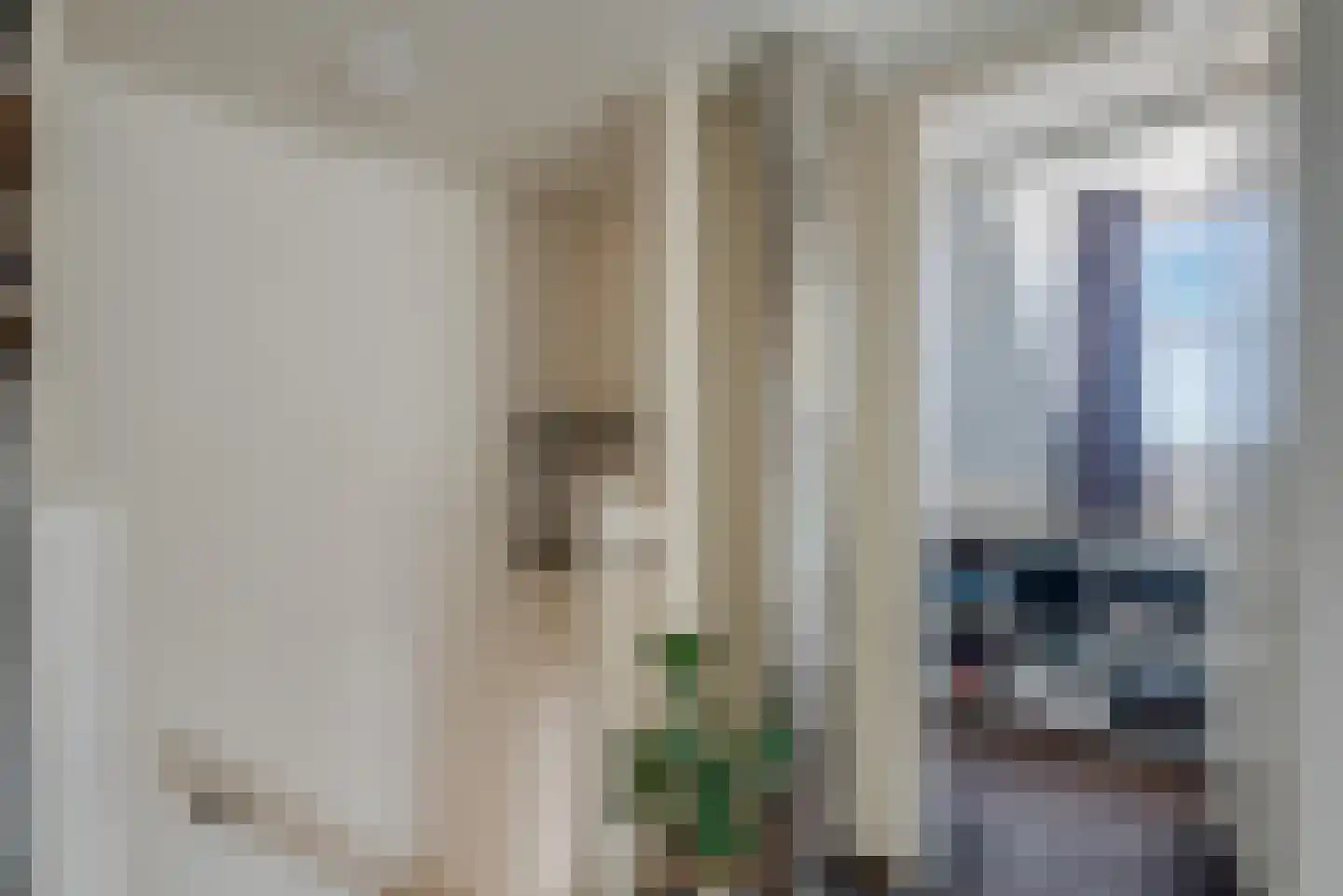 Berkenlaan 13 Zwartsluis thumbnail 35