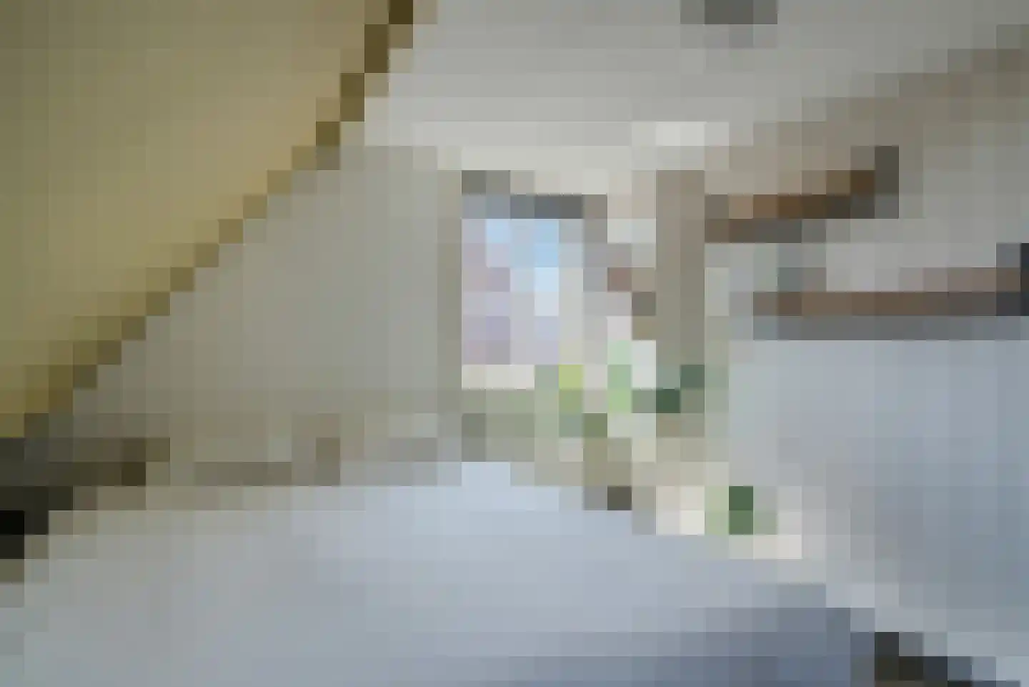 Berkenlaan 13 Zwartsluis thumbnail 38